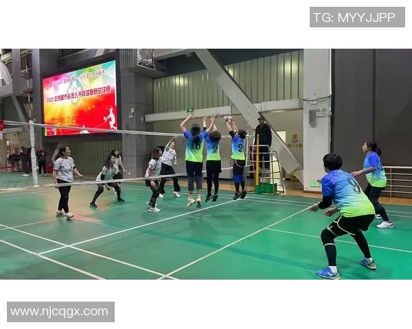 成都排球队实力提升引发热议新赛季展现全新面貌与竞争力